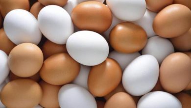 Photo of गेंदे के फूलों को बनाया मुर्गी का चारा, अंडे में बढ़ी प्रतिरोधक क्षमता