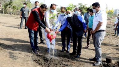 Photo of मुख्यमंत्री चौहान ने स्मार्ट पार्क में पर्यावरण प्रेमी बच्चों के साथ लगाए पौधे