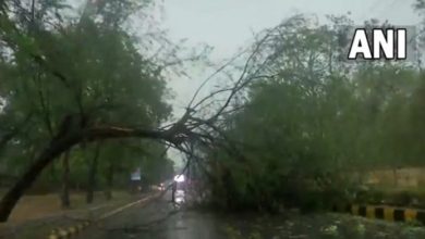 Photo of दिल्ली-NCR में आंधी के साथ हुई बारिश, कई जगहों पर गिरे पेड़; देखें वीडियो