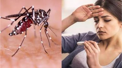 Photo of डेंगू व स्वाइन फ्लू के मरीजों का आना जारी, इतने नए केस आए सामने