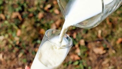 Photo of पंजाब में दूध के 41 फीसदी सैंपल फेल, जानिए अब किस पर होगी जांच
