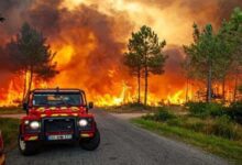 Photo of स्पेन के जंगलों में लगी भीषण आग, 1,600 लोगों को सुरक्षित स्थान पर पहुंचाया गया